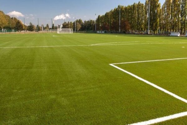 Synthetic Turf