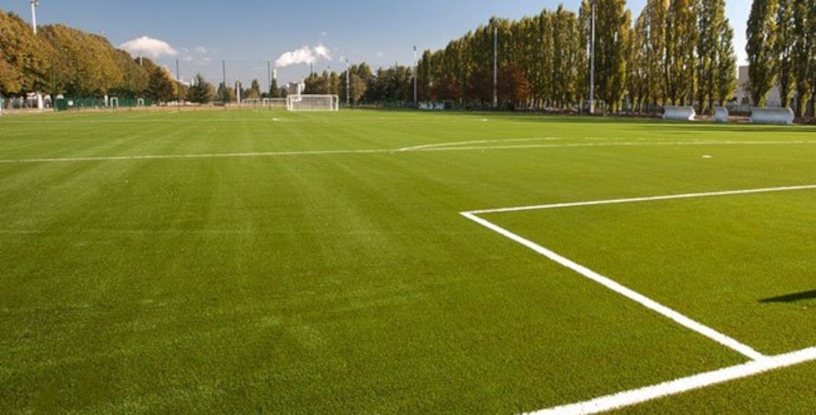 Synthetic Turf